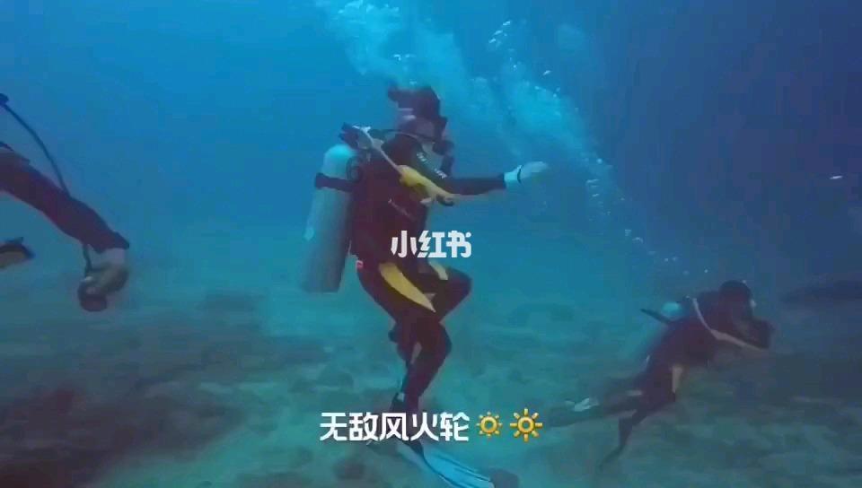 诺亚之翼是诺亚自带的吗游戏画面